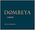 Dombeya Fenix Formerly Altus